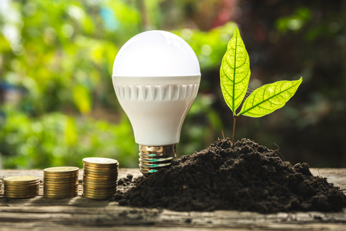 lightbulb and plant with stack of coins