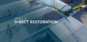 Direct Restoration Solar Array